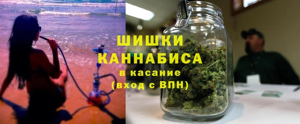 прущие грибы Аркадак