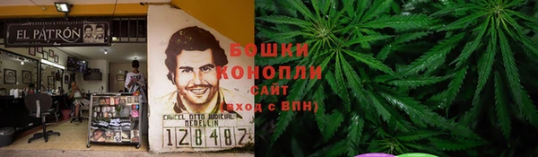 прущие грибы Аркадак