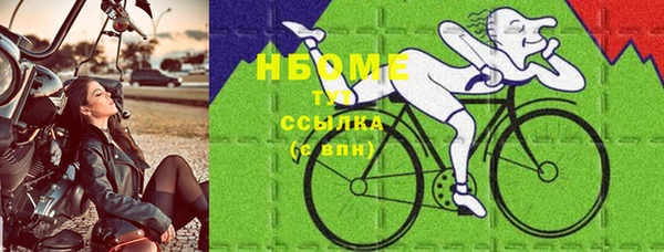 прущие грибы Аркадак