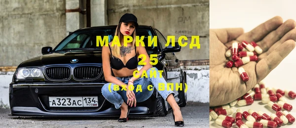 прущие грибы Аркадак