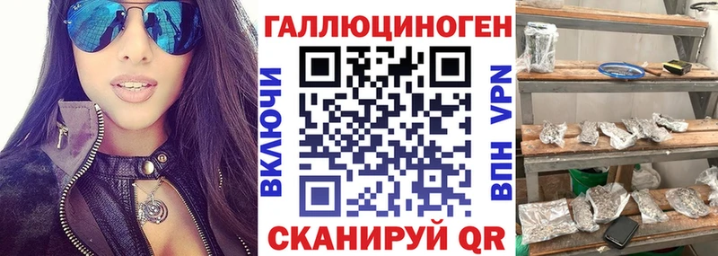 где можно купить   Верхний Тагил  ОМГ ОМГ маркетплейс  Галлюциногенные грибы Psilocybe 